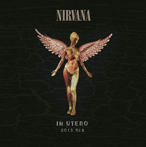 Nirvana- In Utero (2013 Mix)